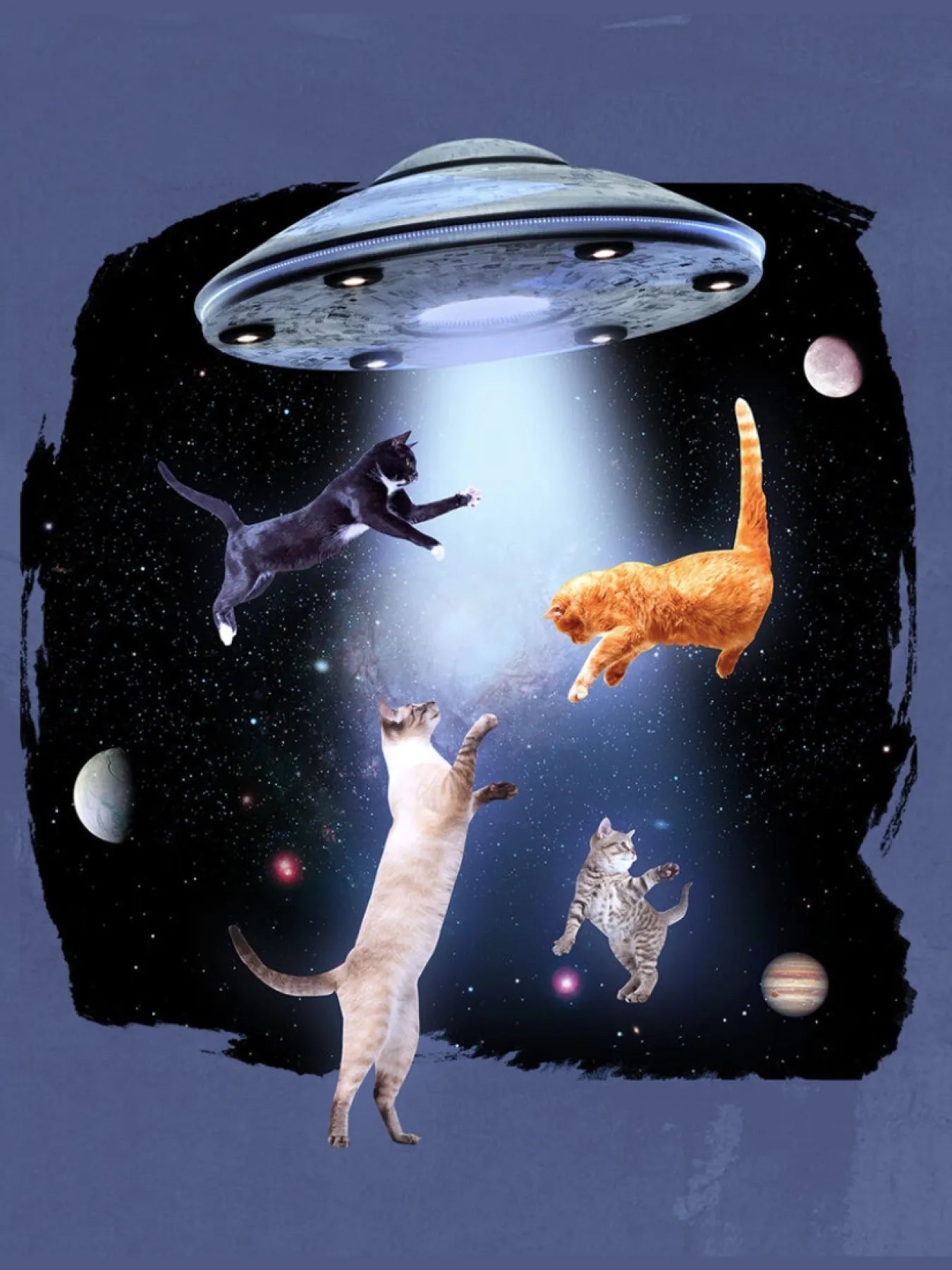 Space, cats & a flying saucer!
